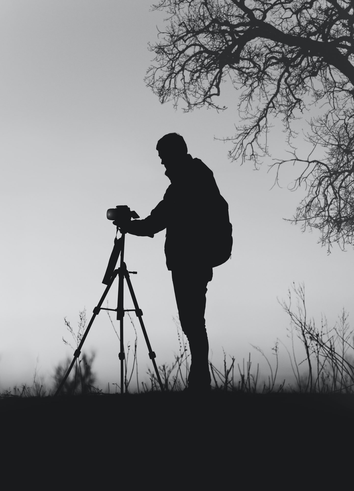 Reportage photographique .