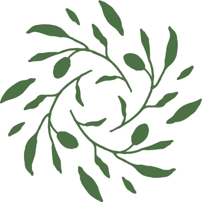 Identité Visuelle