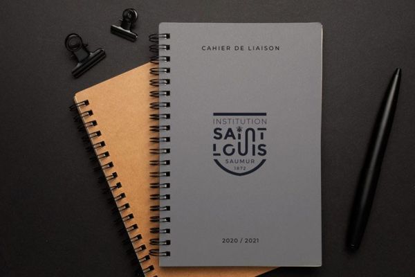 Institution Saint Louis