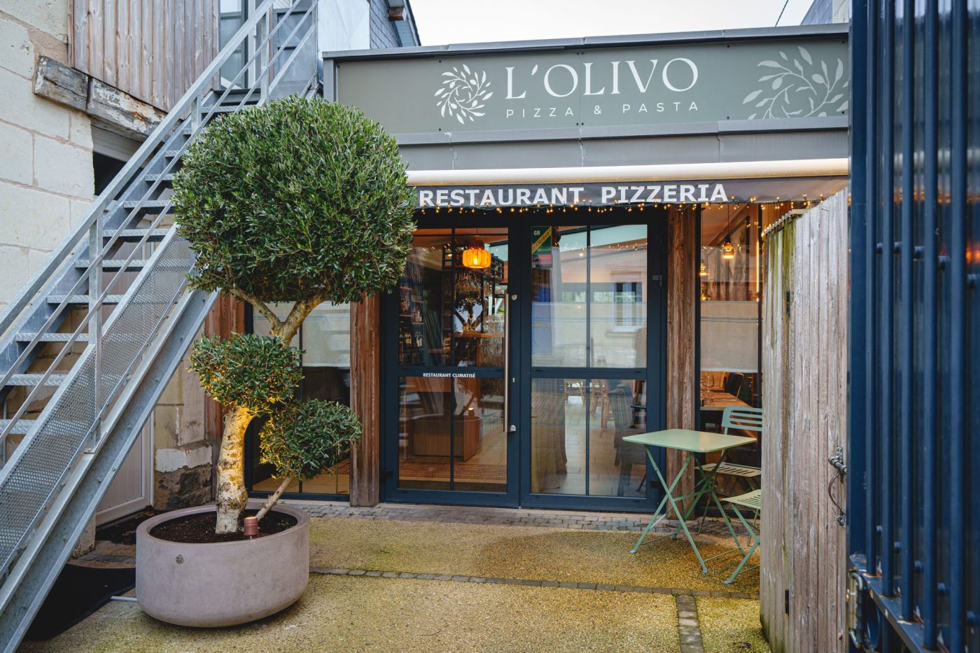 L'olivo