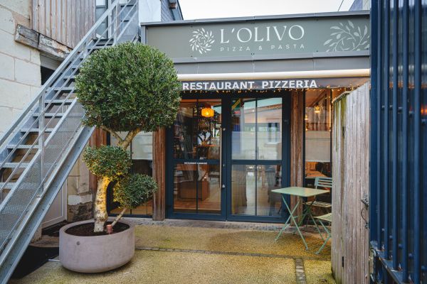 L'olivo